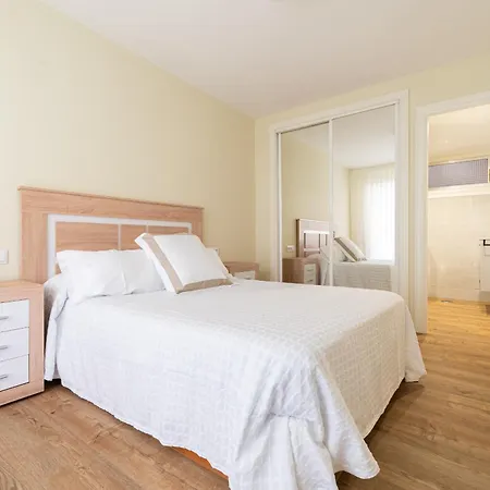 Apartament Canovas Center *